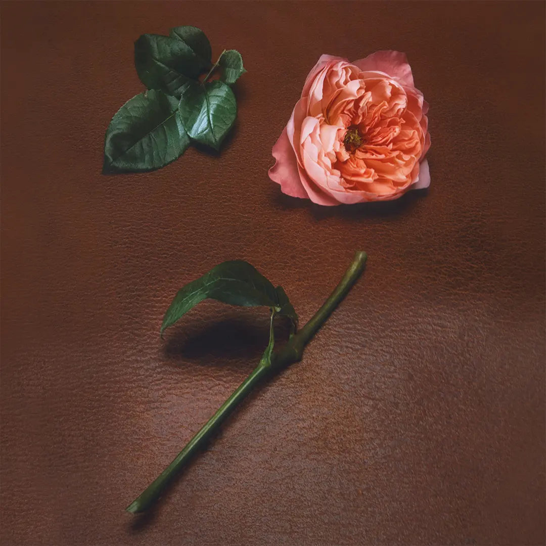Rose Mosaïque